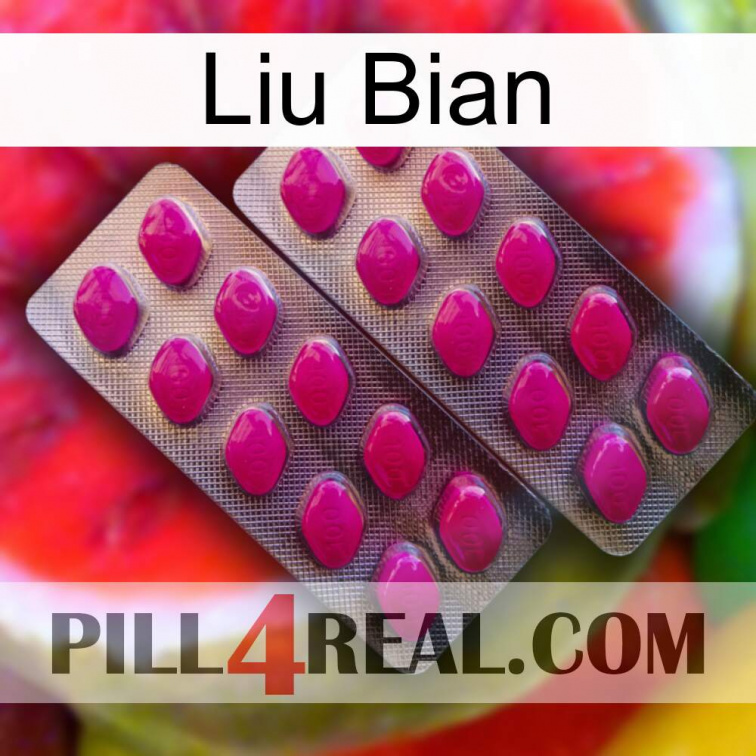 Liu Bian 10